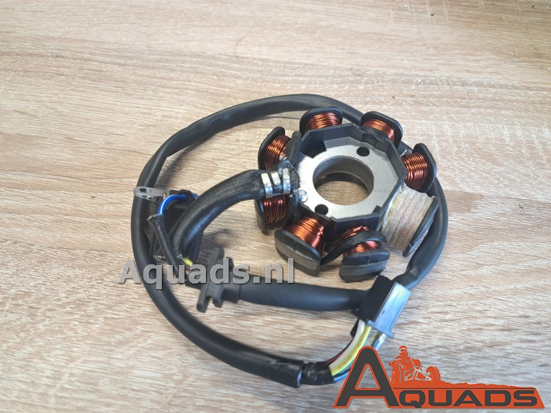 Ontstekingspoel Bashan 150cc GY6